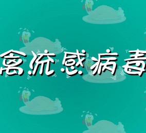 食品有意思：如何預(yù)防禽流感病毒感染？ 