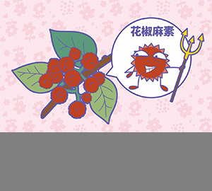 科普視頻：花椒為什么那么麻？（匹配百科詞條：花椒、花椒麻素）